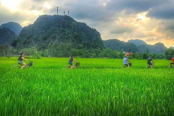 Ninh Binh Tour: Deluxe & Small Group Tam Coc Hoa Lu - Boat, Biking, Buffet Lunch - What Makes This Tour Stand Out?