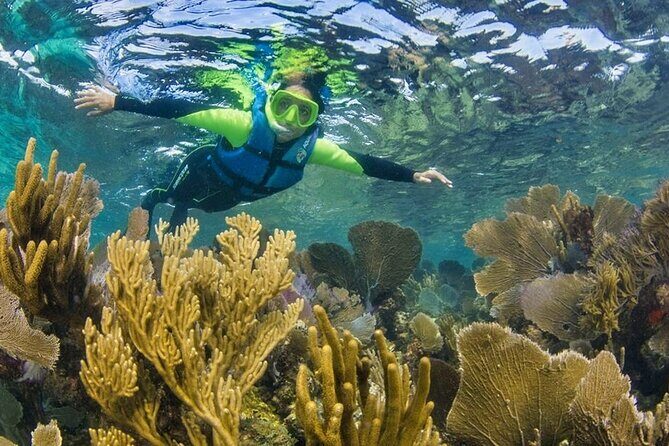 Nizuc Reef Snorkel Experience - FAQ