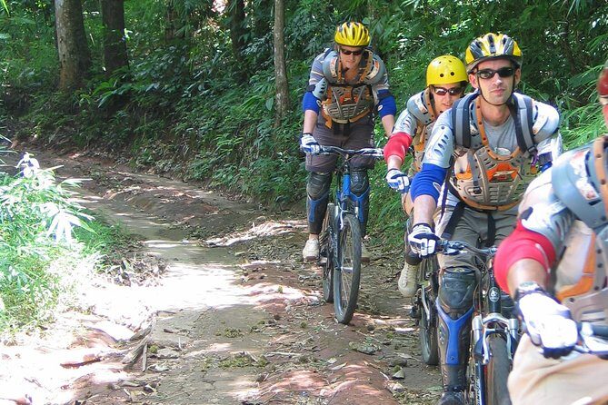 No.1 Chiang Mai: Advanced Downhill Mountain Biking, Suthep N.Park - An In-Depth Look at the Tour Experience