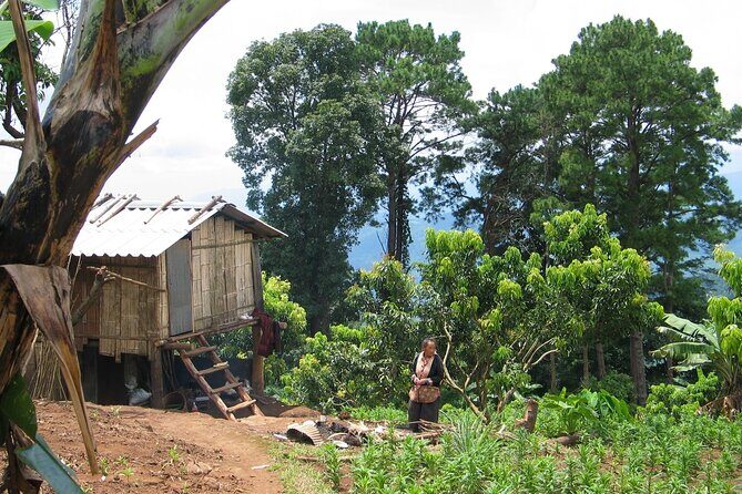 No.1 Chiang Mai: Advanced Downhill Mountain Biking, Suthep N.Park - Wrapping It Up