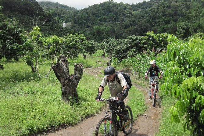 No.1 Chiang Mai: Advanced XC Downhill Biking, Doi Suthep N. Park - Why the Price Reflects Great Value