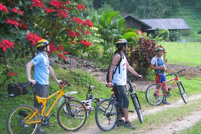 No.1 Chiang Mai: Advanced XC Downhill Biking, Doi Suthep N. Park - Practical Details for Your Trip