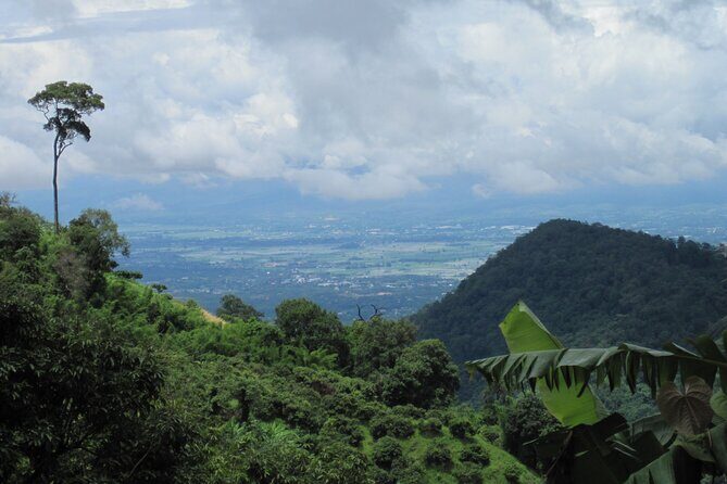 No.1 Chiang Mai: Advanced XC Downhill Biking, Doi Suthep N. Park - Final Thoughts: Who Will Love This Tour?