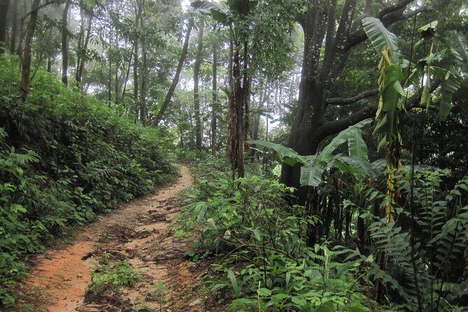No.1 Chiang Mai: Advanced XC Downhill Biking, Doi Suthep N. Park - Final Words