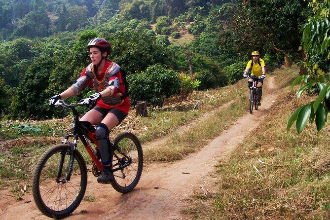 No.1 Chiang Mai: Epic Doi Suthep Downhill MTB Adventure - The Practical Side: What You Need to Know