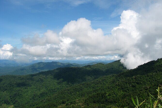 No.1 Chiang Mai: Epic Doi Suthep Downhill MTB Adventure - Who Should Consider This Tour?