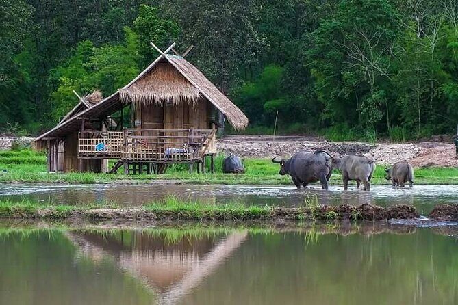 "No.1 Chiang Mai: Leisure Bicycle Ride to Lake Huay Tueng Tao" - FAQs