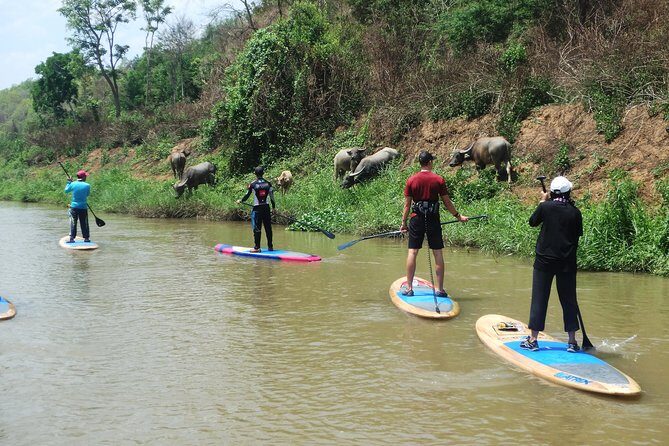 No.1 Chiang Mai: Stand Up Paddle Board through Mae Taeng Forest - Key Points