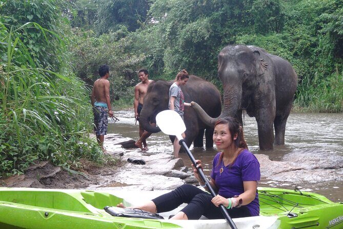 No.1 Chiang Mai : White Water Kayaking: Mae Wang Jungle River - What the Reviews Say