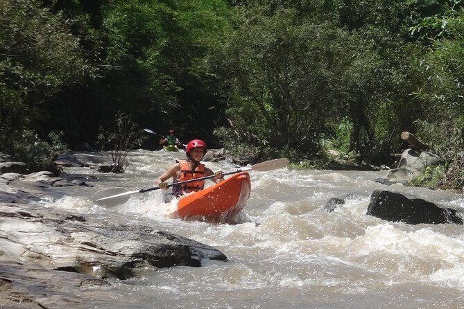 No.1 Chiang Mai : White Water Kayaking: Mae Wang Jungle River - Who Is This Tour For?
