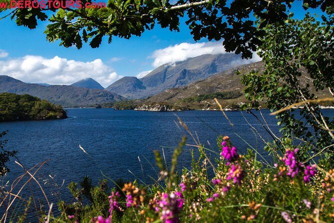 NO 1 Ring of Kerry Tour inc Killarney Lakes & National Park - FAQ