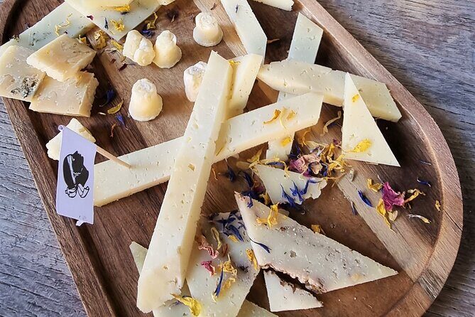 NO DIET CLUB - Unique local food tour in Ajaccio (English/French) - Final Words: Who Will Love This Tour?