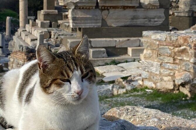 NO HIDDEN FEES : Ephesus, Virgin Mary's House, St. John Basilica - Final Thoughts