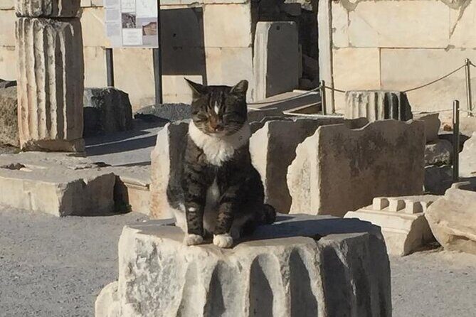 NO HIDDEN FEES Private Ephesus with skip the line tickets - FAQ