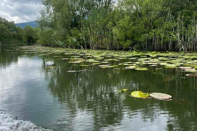 Noah's Ark Skadar Lake Journey - An In-Depth Look at the Tour Experience