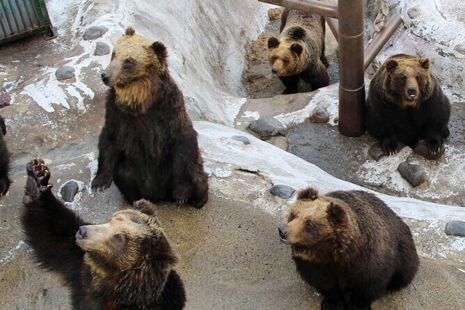 Noboribetsu Lake Toya and Sapporo Otaru Full Day Tour - Who Will Enjoy This Tour Most?