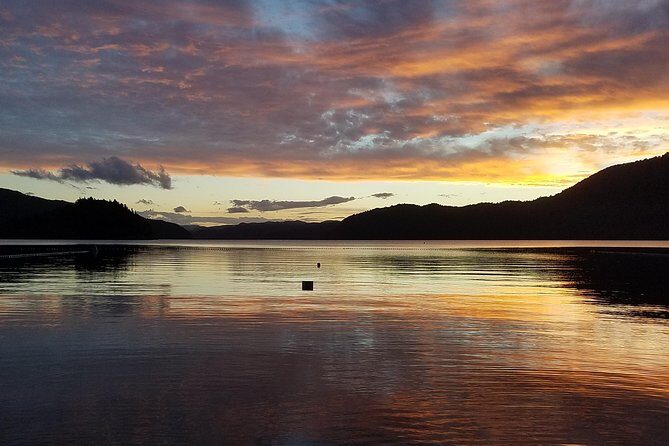 Nocturnal adventure Glow-worm tour - FAQ: Your Questions Answered