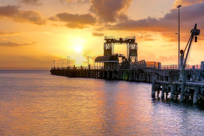 Nocturnal Tour of Kangaroo Island - An In-Depth Look at the Nighttime Wildlife Adventure