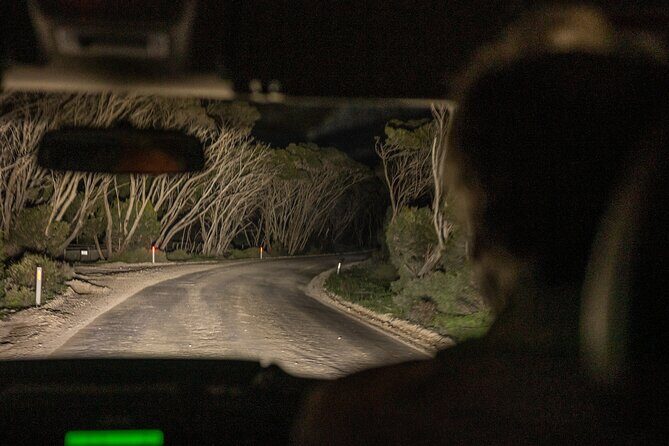Nocturnal Tour of Kangaroo Island - FAQ