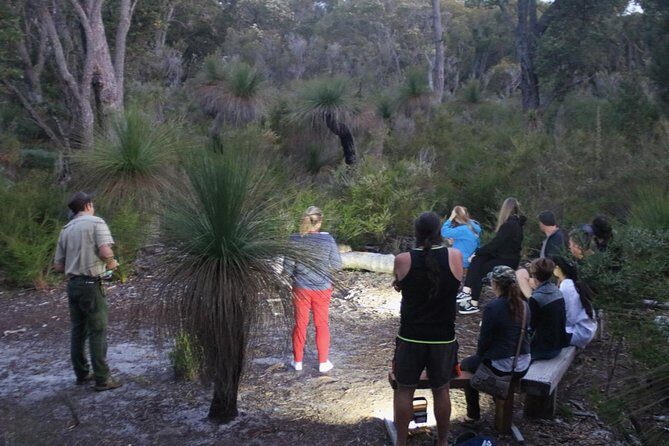Nocturnal Wildlife Tour from Busselton - An In-Depth Look at the Experience
