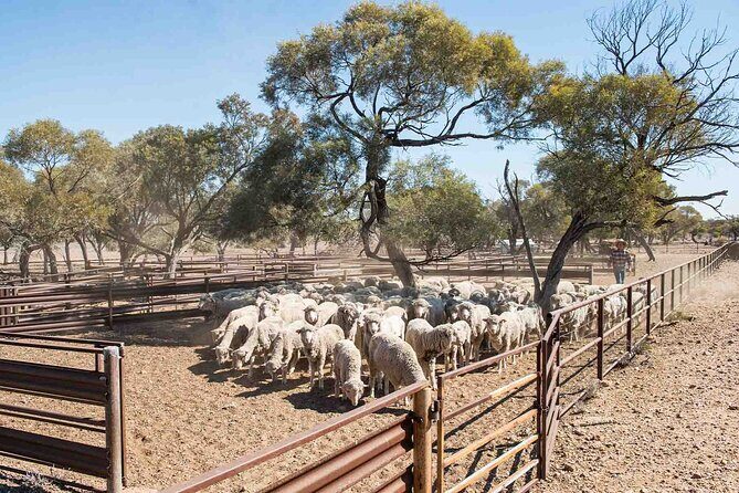 Nogo Station Experience - Ideal for: