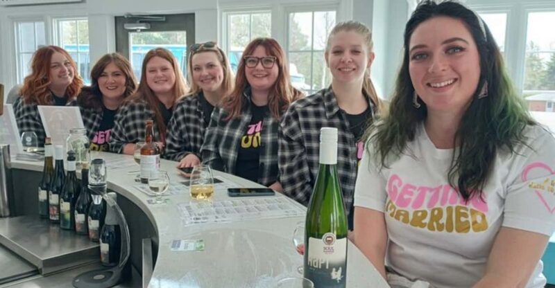 NON BUS Andie's VIP Traverse / Leelanau Peninsula Wine Tour - An In-depth Look at the Experience