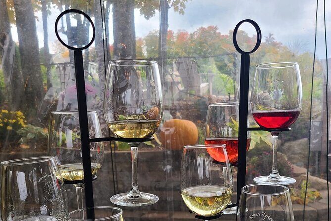 NON BUS FALL COLORS Traverse City Old Mission Wine Tour - Key Points