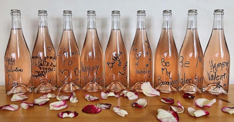 NON BUS Sunday Funday Traverse City Old Mission Wine Tour - An In-Depth Look at the Experience