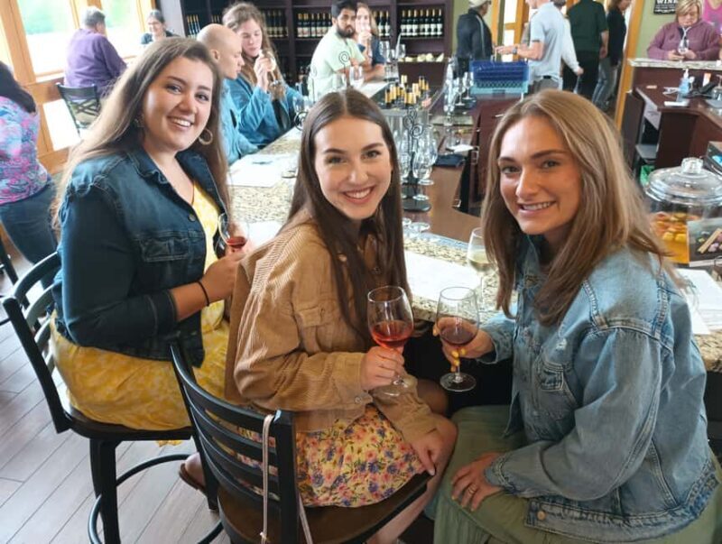 NON BUS Traverse City Leelanau Peninsula Sunset Wine Tour - Final Thoughts