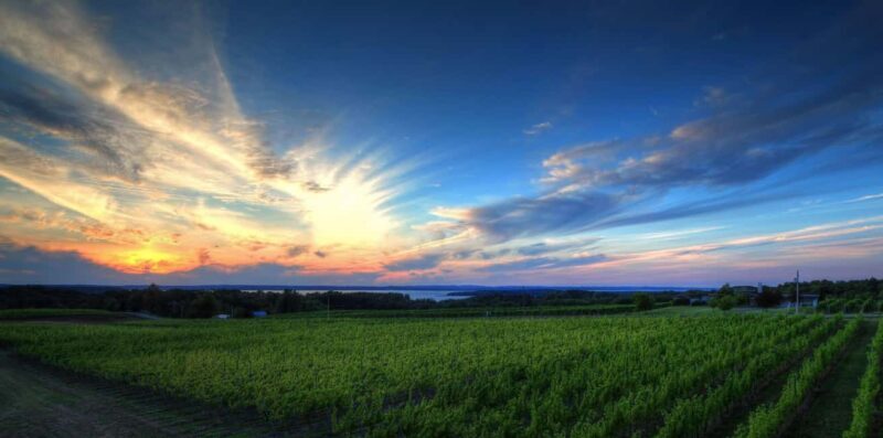 NON BUS White Wine Lover Old Mission Traverse City Wine Tour - The Experience of a Lifetime