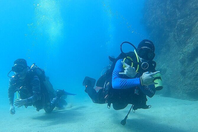 Non-Certified Diving Adventure in Cabo San Lucas - Key Points