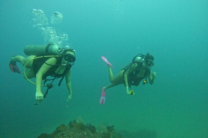 Non-Certified Diving Adventure in Cabo San Lucas - Final Thoughts: Who Will Appreciate This Tour?