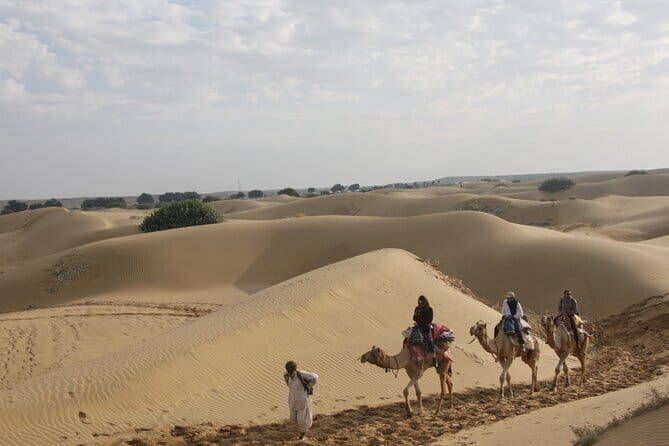 Non Tourist Desert Camel Safari And Night Stay Under The Stars - Discovering Jaisalmer’s Hidden Desert Gem