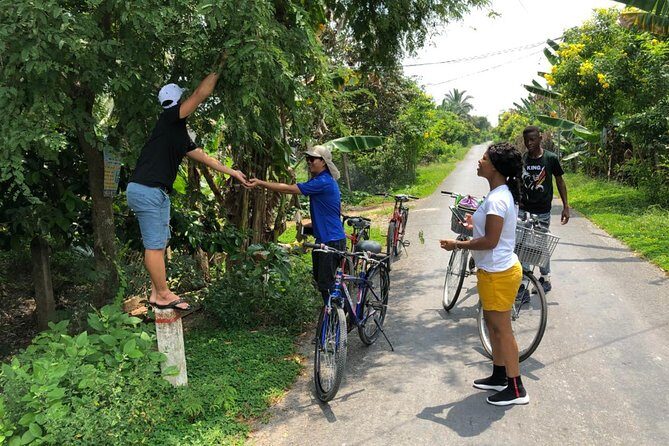 Non-Touristy Mekong With Biking 1 Day - What to Expect from the Itinerary