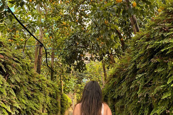 Nonno Mario Sorrento Lemon tour - What to Expect: Step-by-Step Breakdown