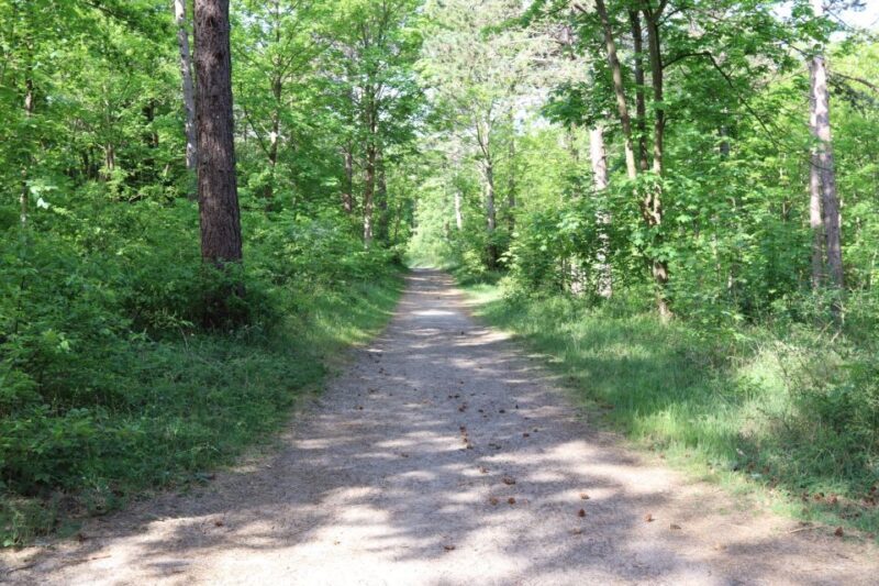Noordwijk: Beach and Dunes Bike Tour - A Detailed Look at the Noordwijk: Beach and Dunes Bike Tour