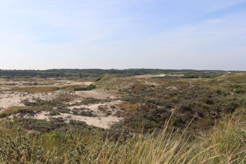 Noordwijk: Beach and Dunes Bike Tour - Practical Considerations: What You Should Know
