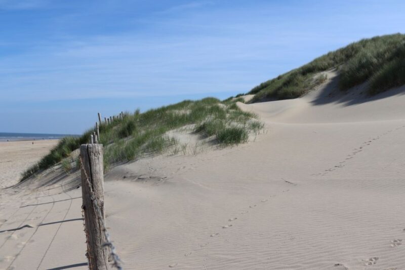 Noordwijk: Beach and Dunes Bike Tour - Why Choose This Tour?