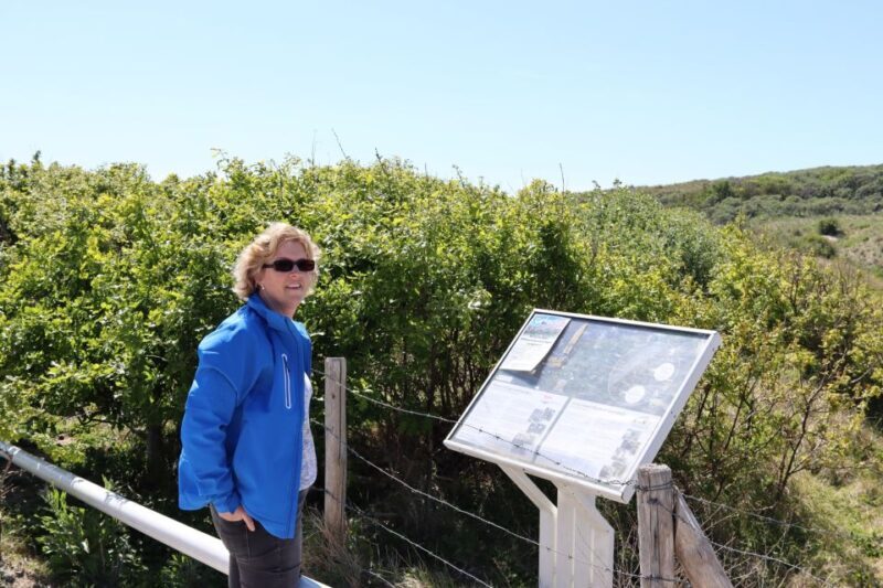 Noordwijk: Beach and Dunes Bike Tour - Who Will Love This Tour?