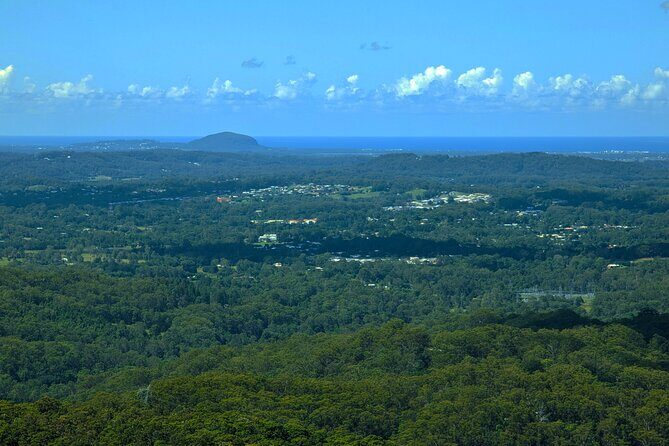 Noosa, Aussie Animals & Glass House Mountains from Brisbane - Coastal Beauty and Nature