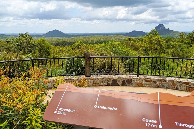 Noosa, Aussie Animals & Glass House Mountains from Brisbane - Final Thoughts