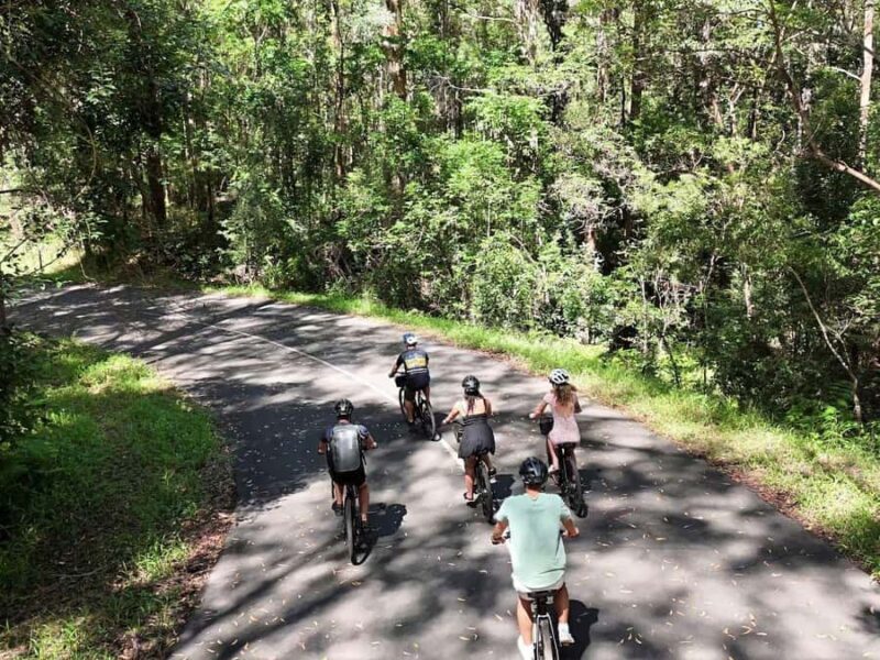 Noosa: E-Bike Tour from Mt Tinbeerwah to Noosa - In-Depth Look at the Experience