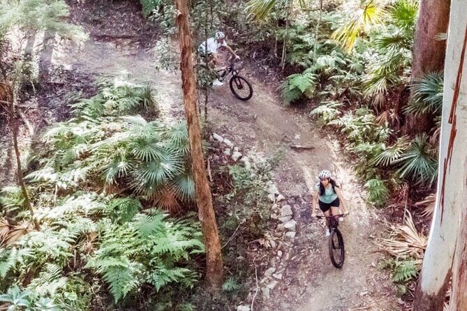 Noosa eMtn Bike Tour: Exploring a National Park on Fun MTB Trails - What Makes This Tour Stand Out