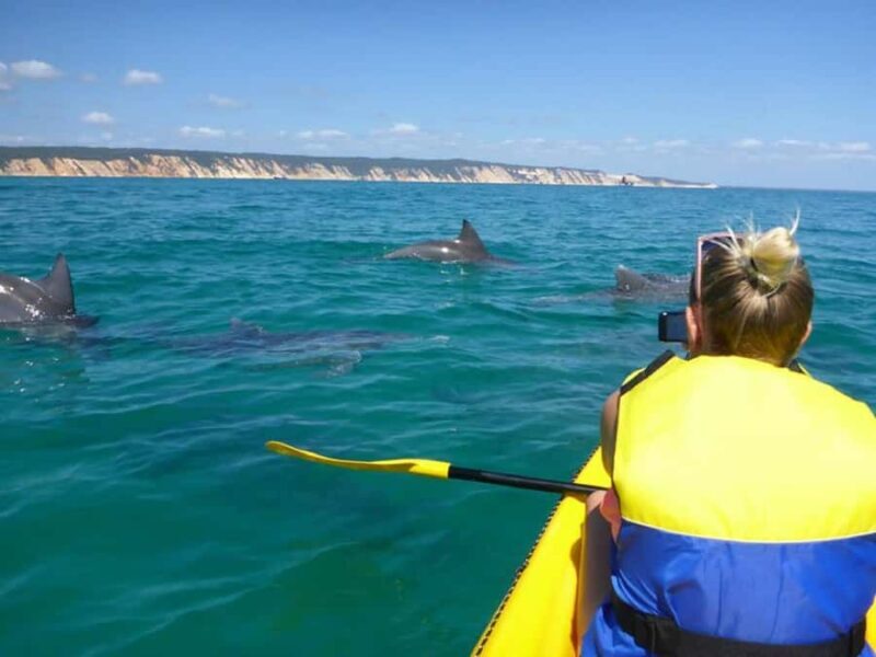 Noosa: Epic Ocean Kayak with Dolphins & 4WD Beach Adventure - Key Points