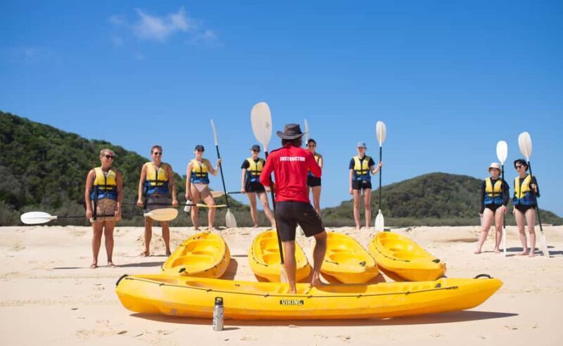 Noosa: Epic Ocean Kayak with Dolphins & 4WD Beach Adventure - An Overview of the Tour Experience