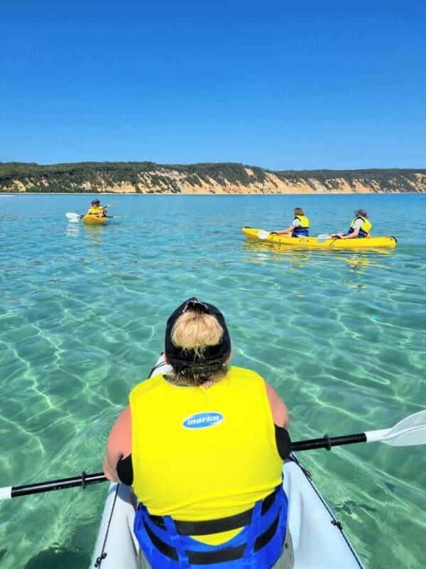 Noosa: Epic Ocean Kayak with Dolphins & 4WD Beach Adventure - The Experience: Authentic, Immersive, and Accessible
