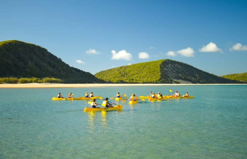 Noosa: Epic Ocean Kayak with Dolphins & 4WD Beach Adventure - Who Should Consider This Tour?