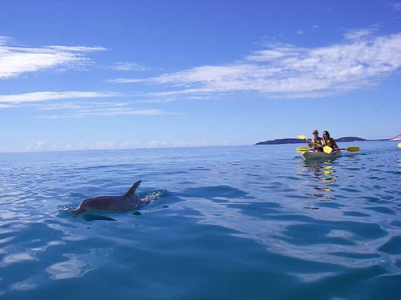 Noosa: Epic Ocean Kayak with Dolphins & 4WD Beach Adventure - Final Thoughts