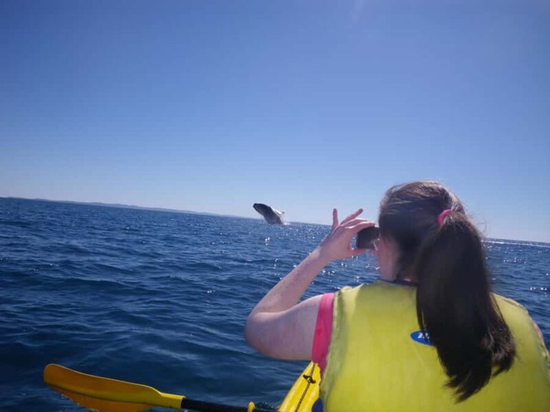 Noosa: Epic Whale Watching Ocean Kayak Tour & Beach 4X4 - Practical Considerations