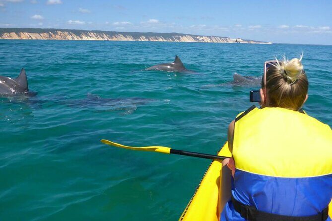 Noosa: Epic Whale Watching On Ocean Kayaks & Beach 4X4 Tour - Final Thoughts